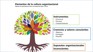 arbol cultura vives